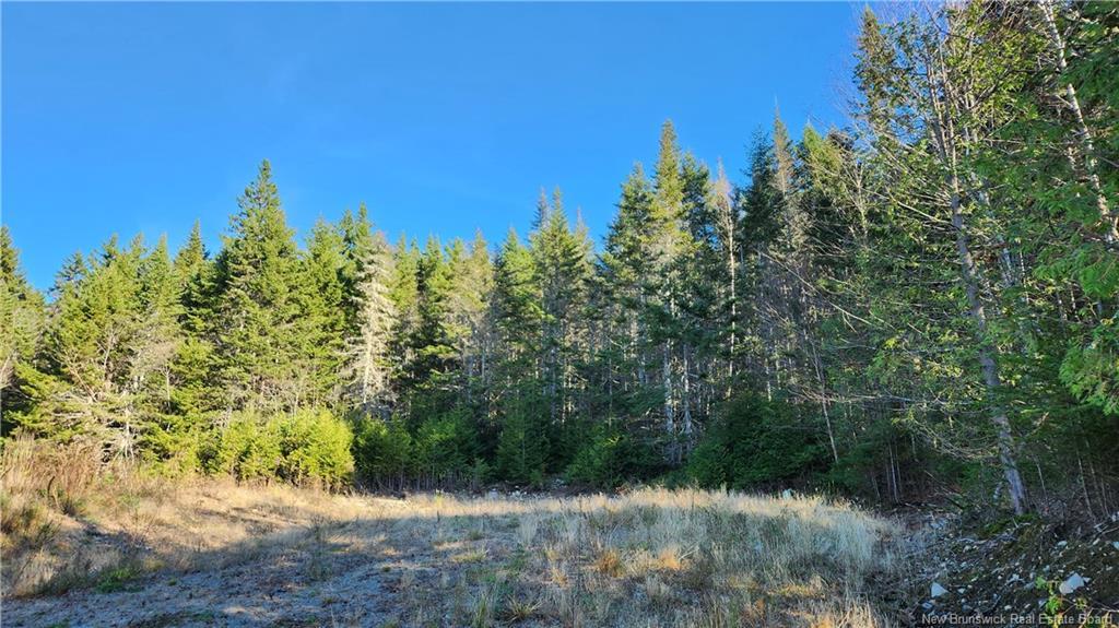 2414 Route 845, Bayswater, NB