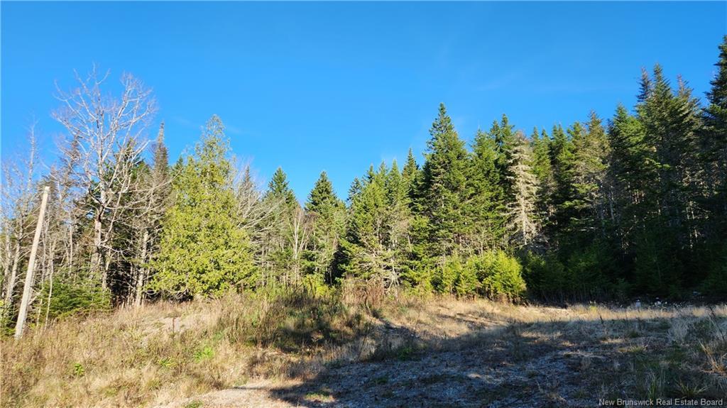 2414 Route 845, Bayswater, NB