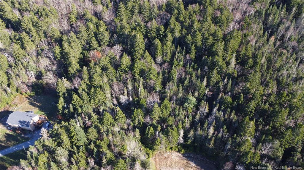 2414 Route 845, Bayswater, NB