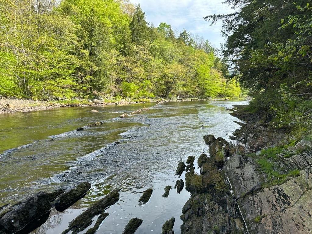 Lot 3 Osborne Road, New Germany, NS