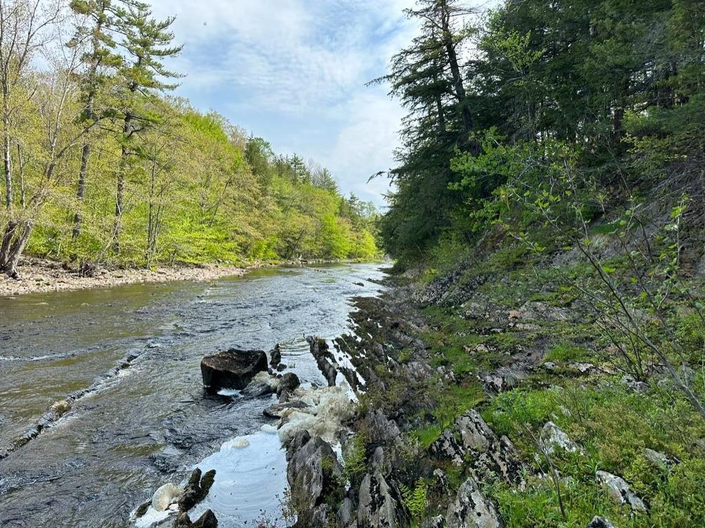 Lot 3 Osborne Road, New Germany, NS