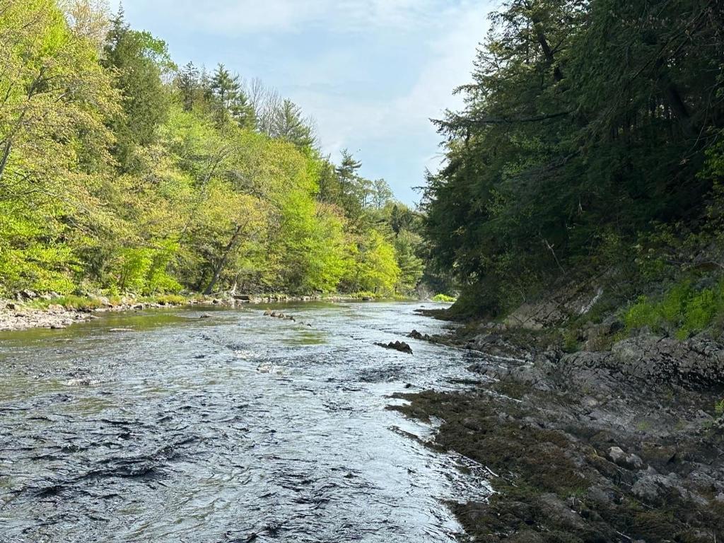 Lot 3 Osborne Road, New Germany, NS