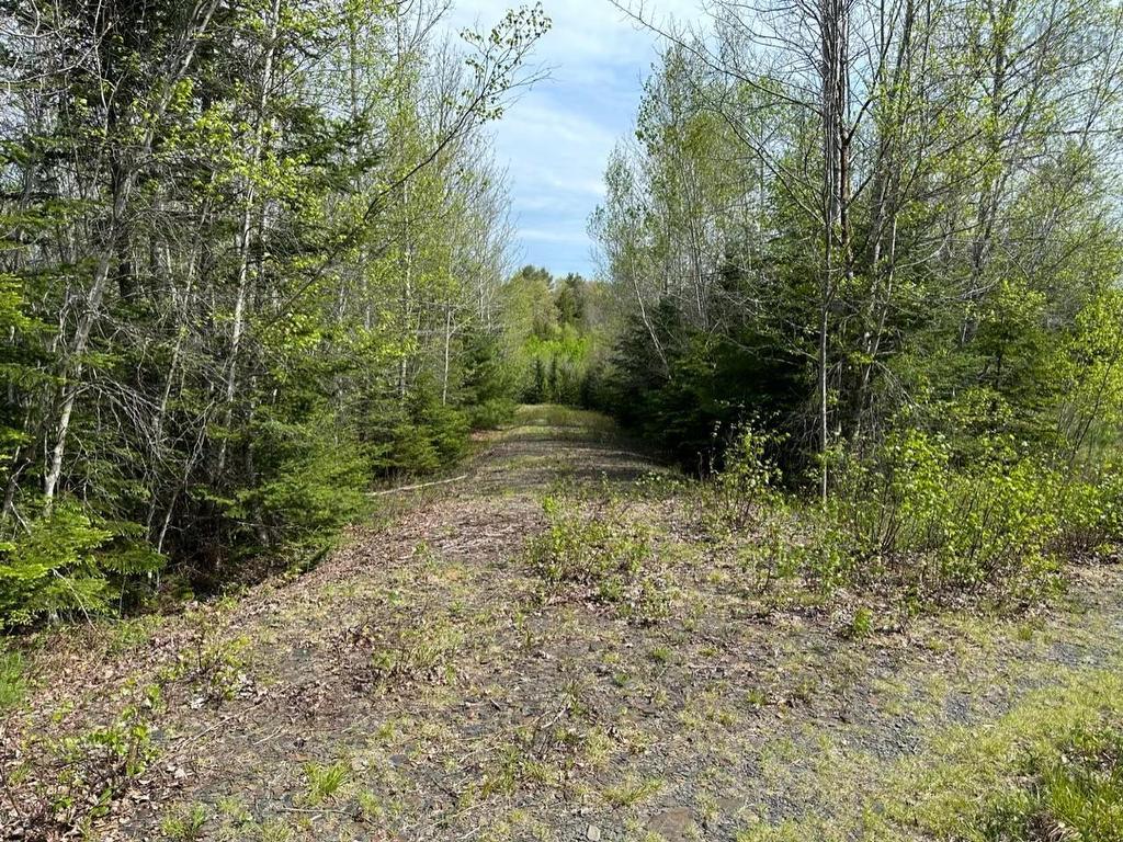 Lot 3 Osborne Road, New Germany, NS