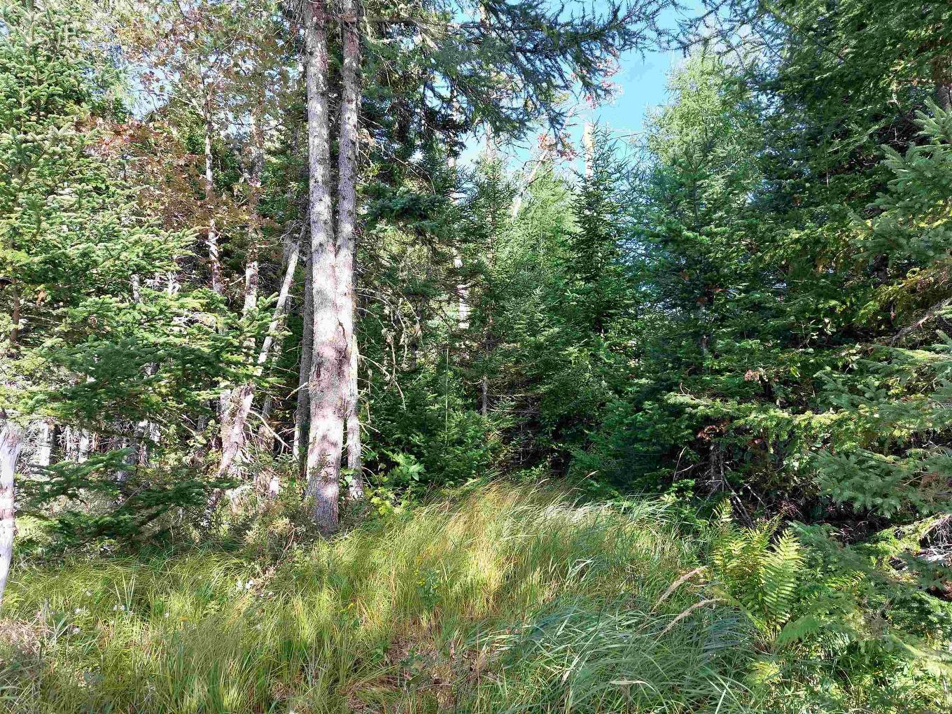 Lot 7 Lower River Rd, Cleveland, NS