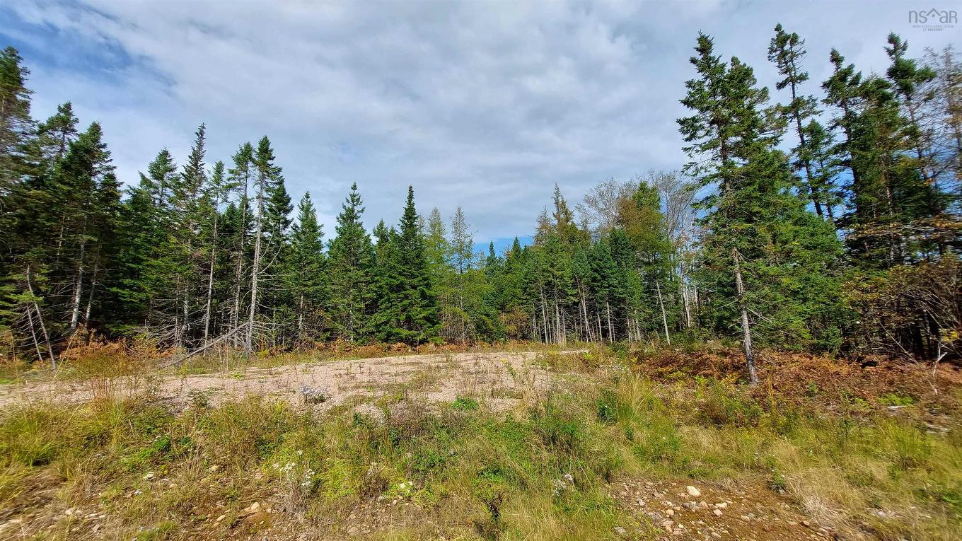 Lot 7 Lower River Rd, Cleveland, NS