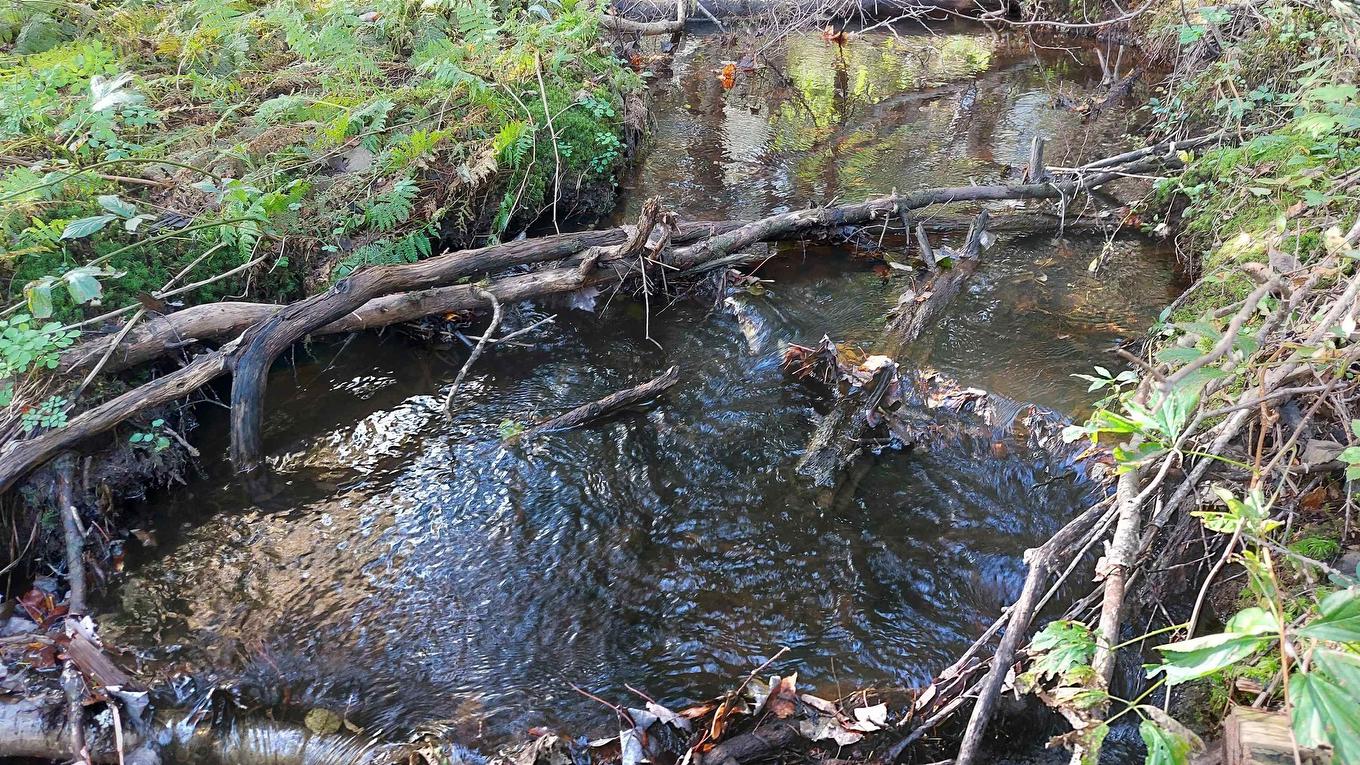 Lot 7 Lower River Rd, Cleveland, NS