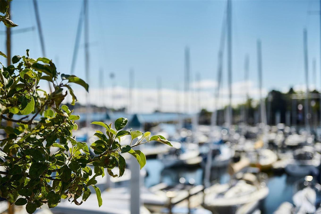 3915 Woodlands Pl, Saanich, BC