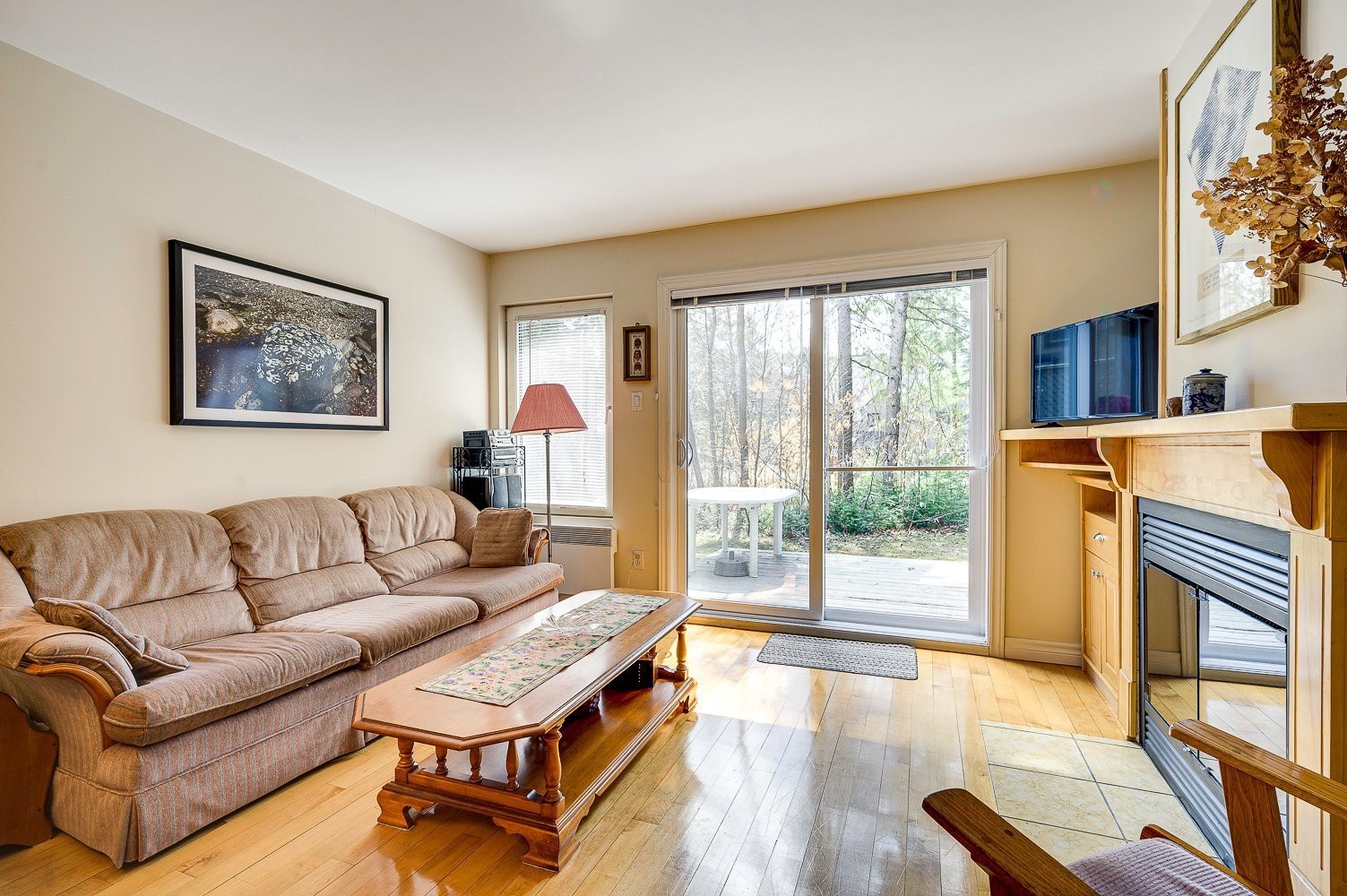 Salon - 102-273 Ch. Des Grappes, Piedmont, QC - Indoor Photo Showing Living Room With Fireplace