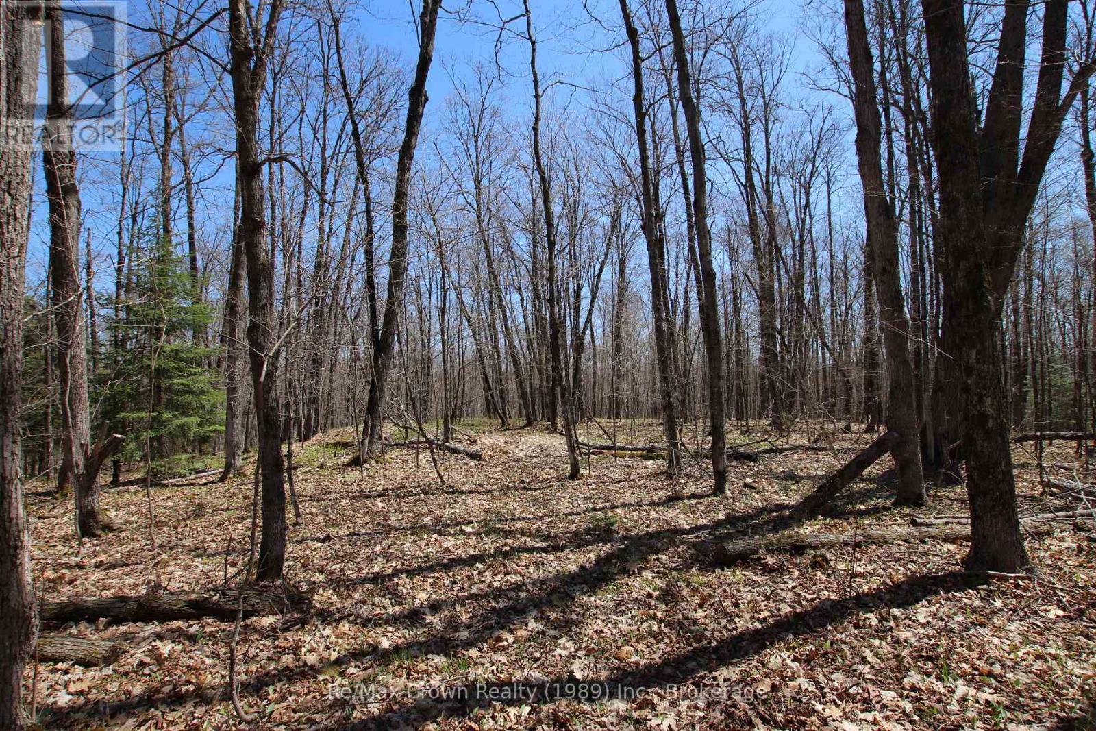 mostly maple trees - 0 534 Hwy Highway, Parry Sound Remote Area (Restoule), ON