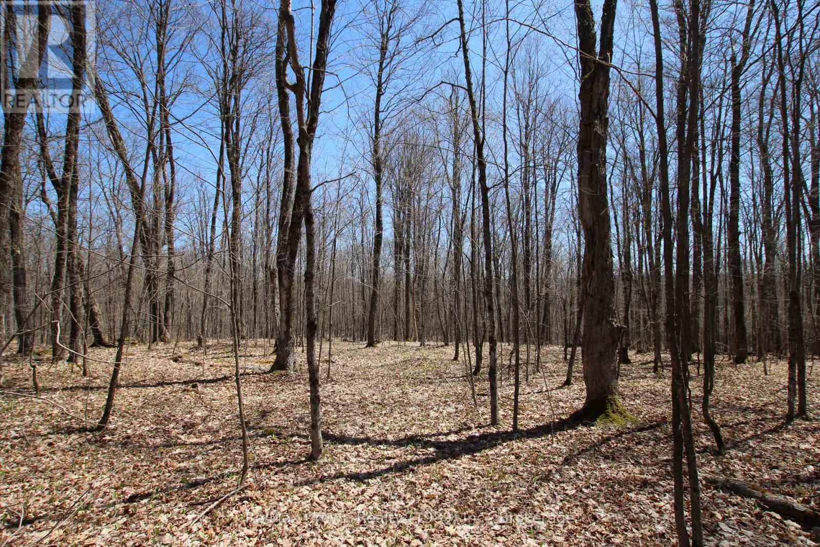 0 534 Hwy Highway, Parry Sound Remote Area (Restoule), ON