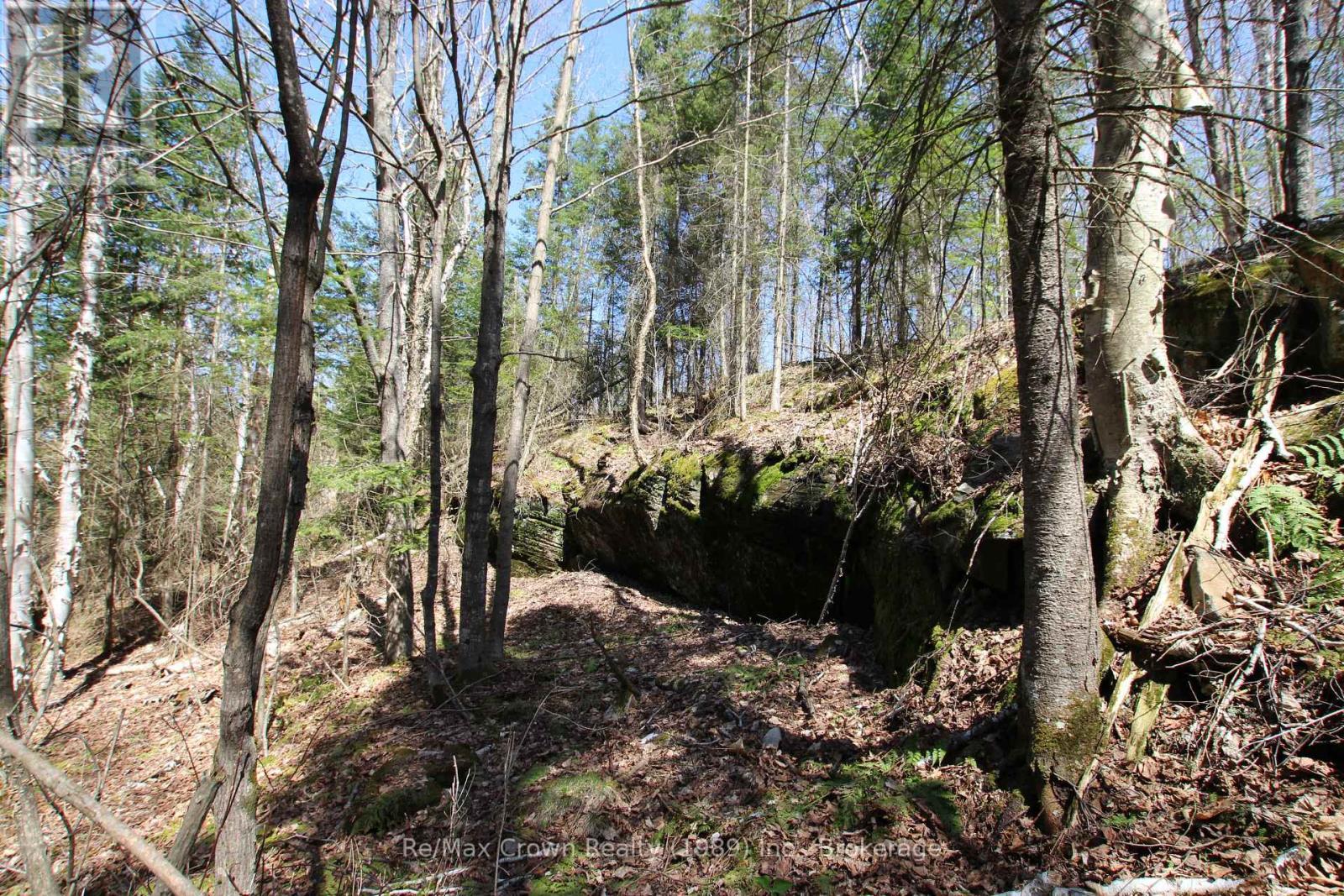 0 534 Hwy Highway, Parry Sound Remote Area (Restoule), ON