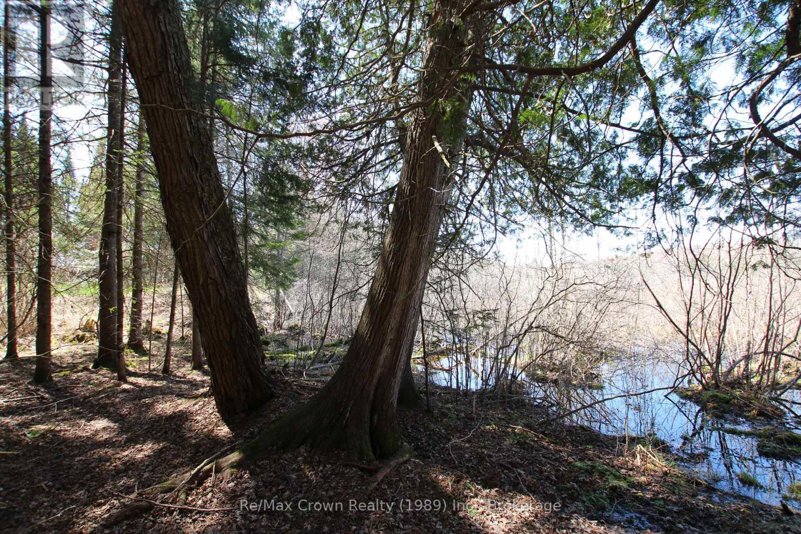 Frontage on swamp off Ridley Dr - 0 534 Hwy Highway, Parry Sound Remote Area (Restoule), ON