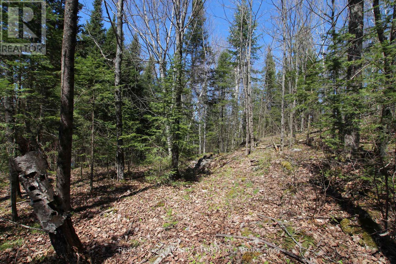 0 534 Hwy Highway, Parry Sound Remote Area (Restoule), ON
