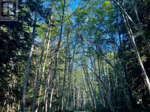 1259 Vancouver Blvd, Savary Island, BC - Outdoor With View