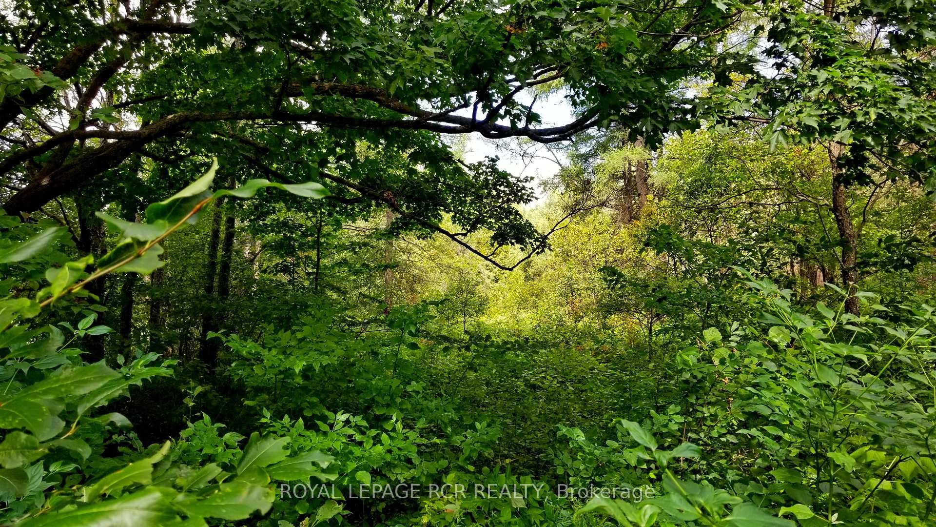 Lot 31 9 County Road, Melancthon, ON