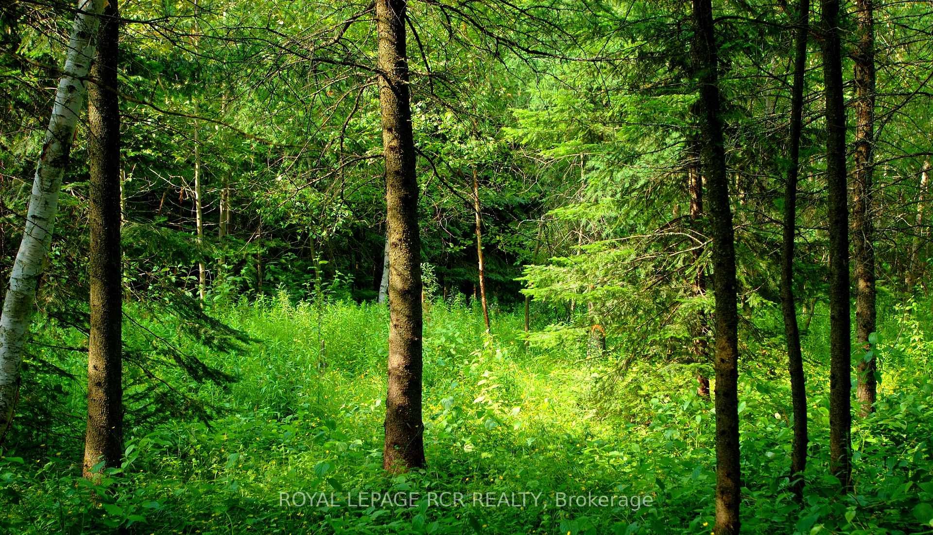 Lot 31 9 County Road, Melancthon, ON