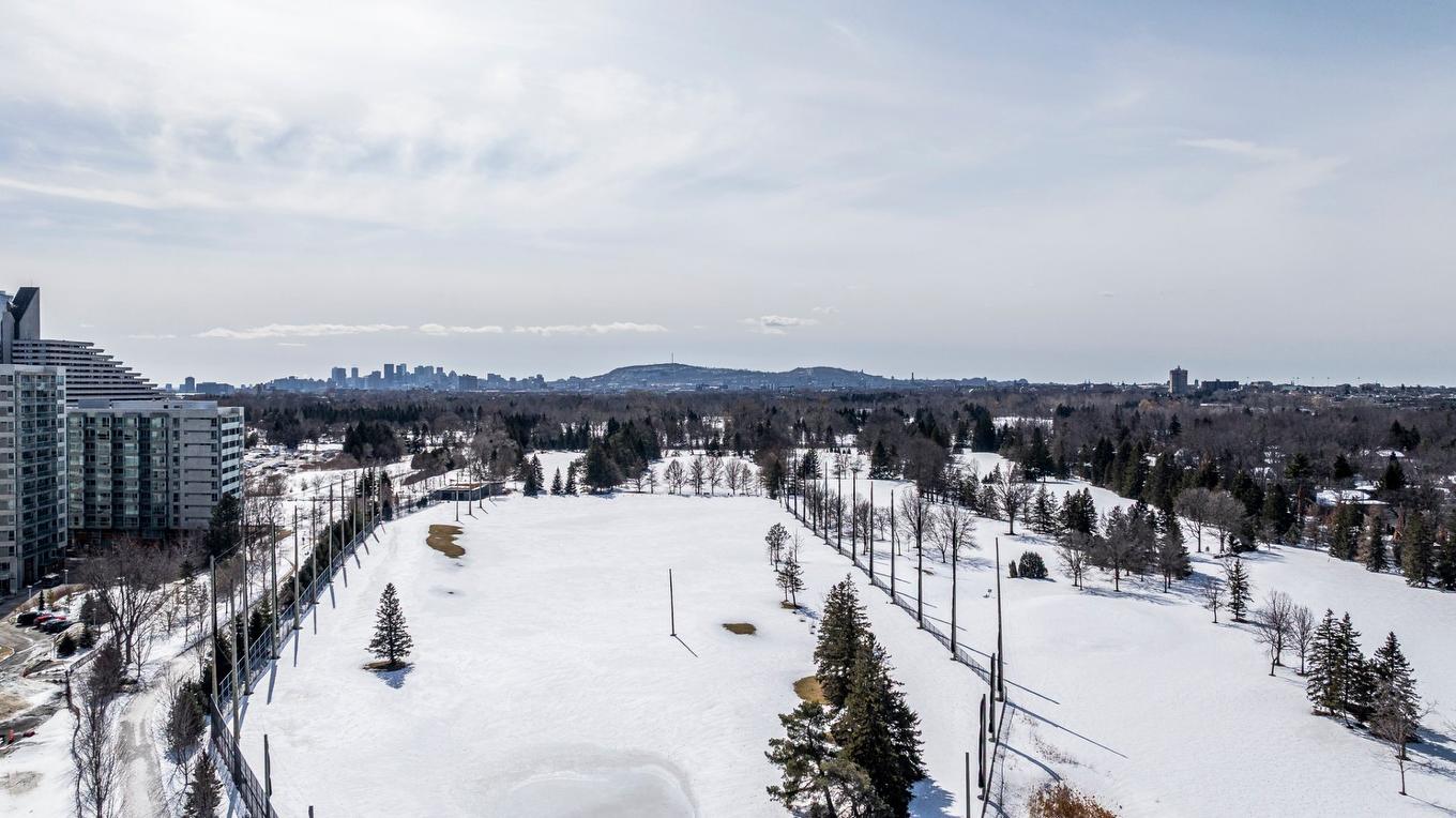 Vue - 1301-5115 Boul. De L'Assomption, Montréal (Rosemont/La Petite-Patrie), QC - Outdoor With View