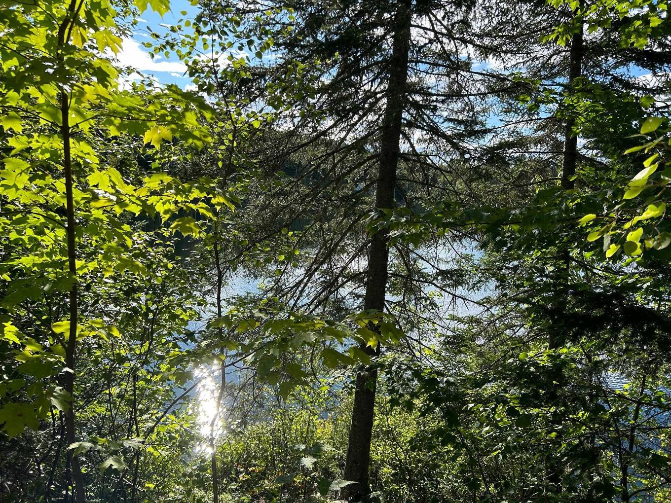 Extérieur - 385 Ch. Du Lac-Équerre, Lac-Supérieur, QC - Outdoor