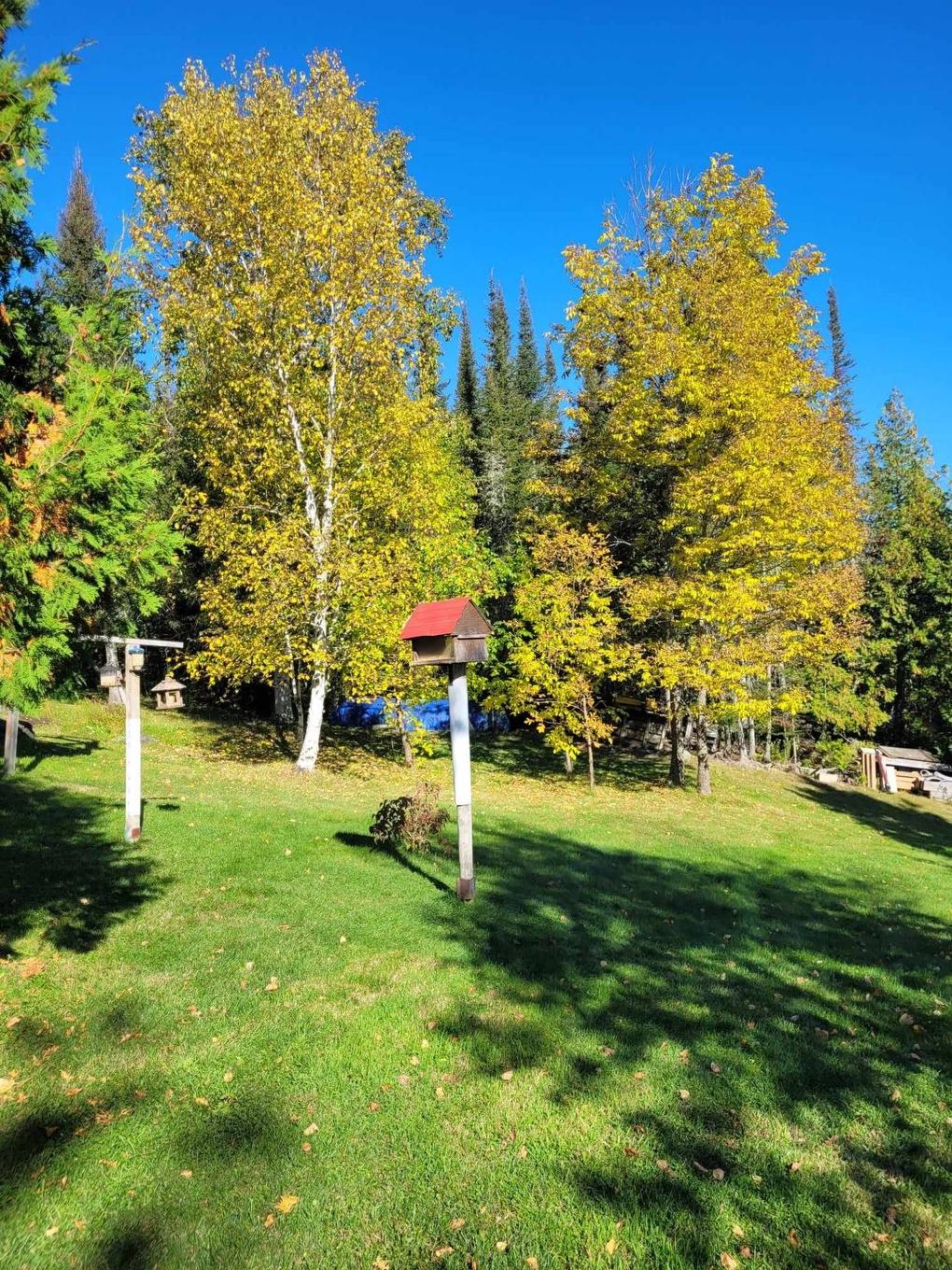 Cour - 2C Lac Dasserat, Rouyn-Noranda, QC - Outdoor