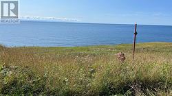 0 Oceanview Drive Cape St George, NL A0N 1T0