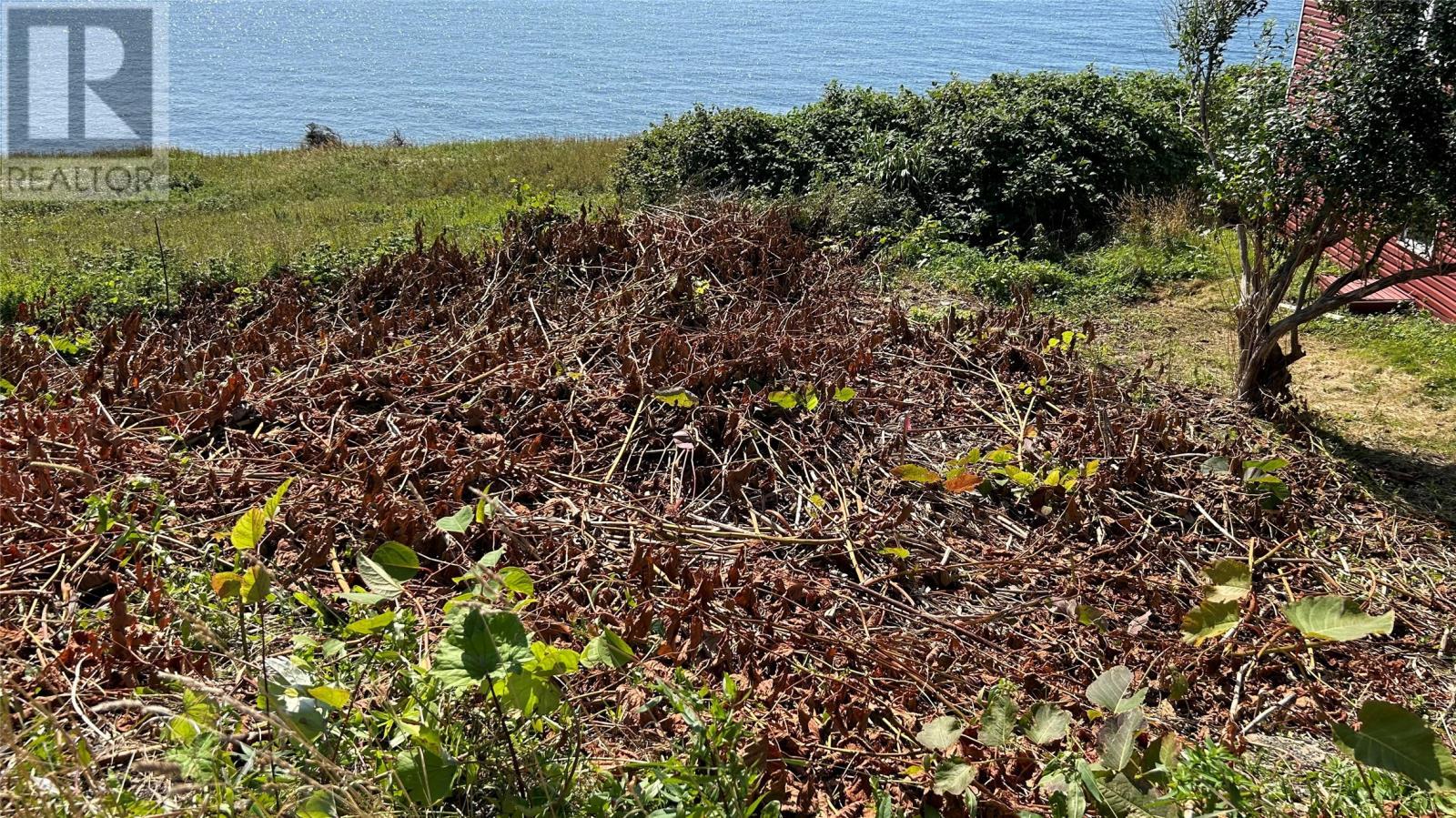 0 Oceanview Drive, Cape St George, NL