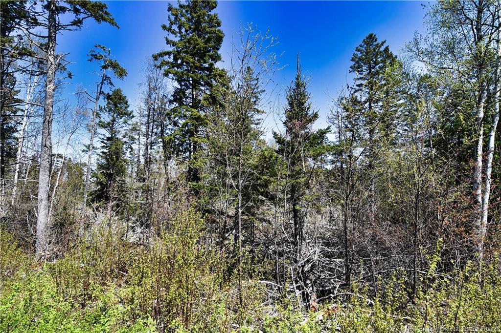 86-39 & 86-40 Mitchell Crt, Welshpool, NB