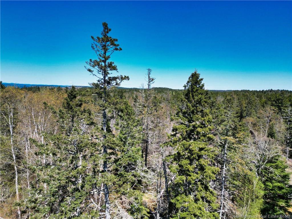 86-39 & 86-40 Mitchell Crt, Welshpool, NB