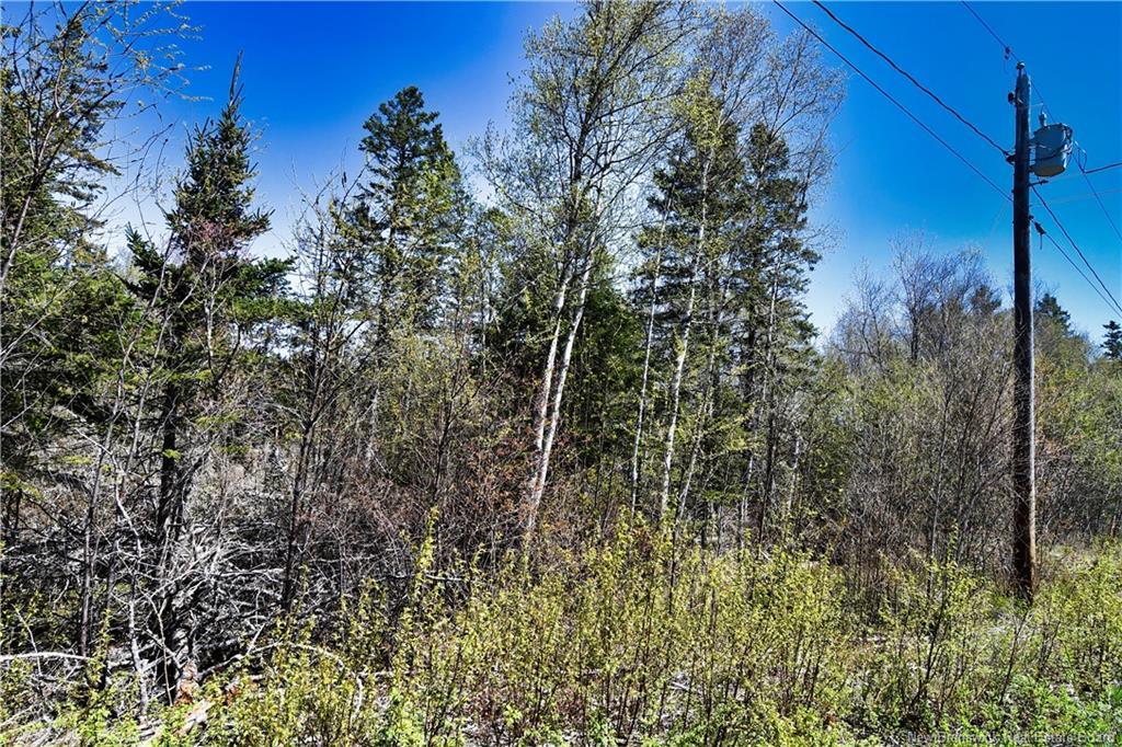 86-39 & 86-40 Mitchell Crt, Welshpool, NB