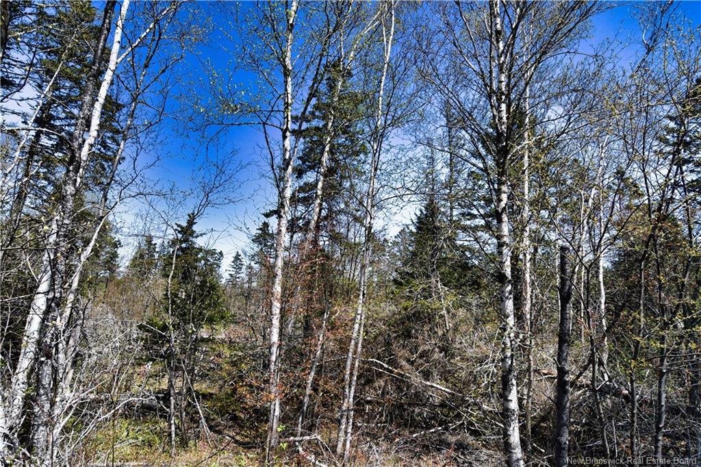 86-39 & 86-40 Mitchell Crt, Welshpool, NB