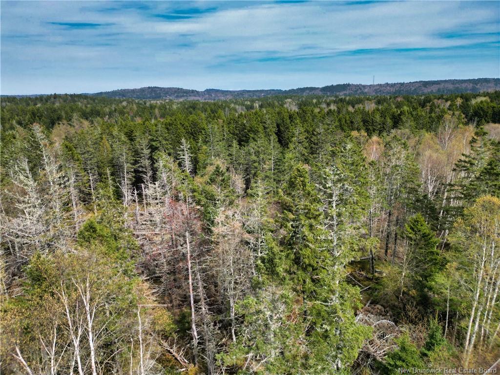 86-39 & 86-40 Mitchell Crt, Welshpool, NB