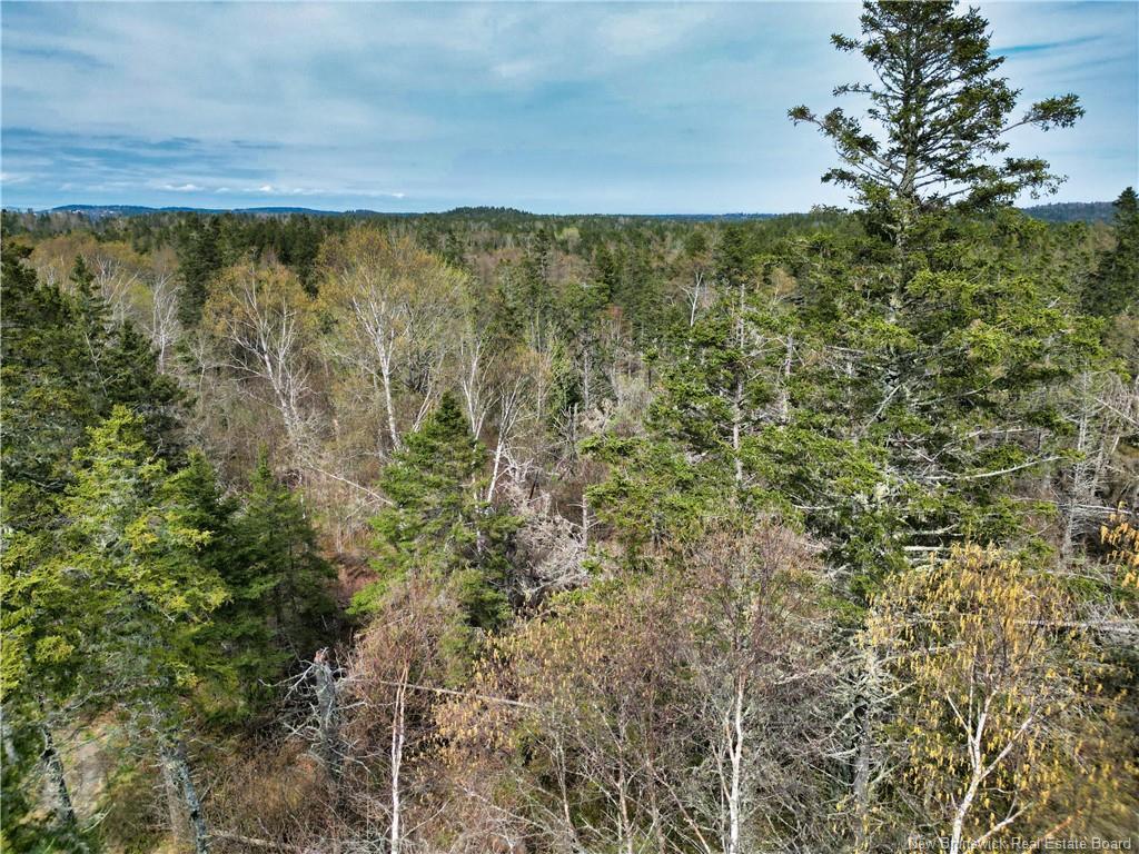 86-39 & 86-40 Mitchell Crt, Welshpool, NB