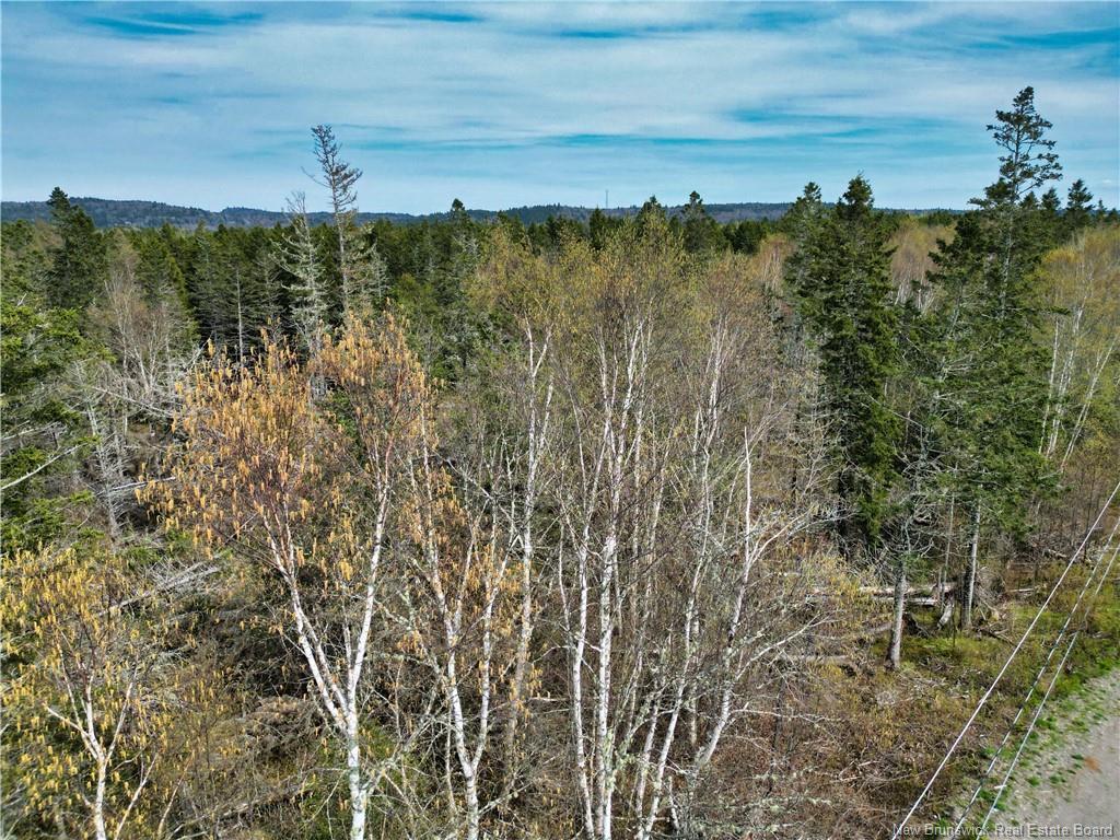 86-39 & 86-40 Mitchell Crt, Welshpool, NB