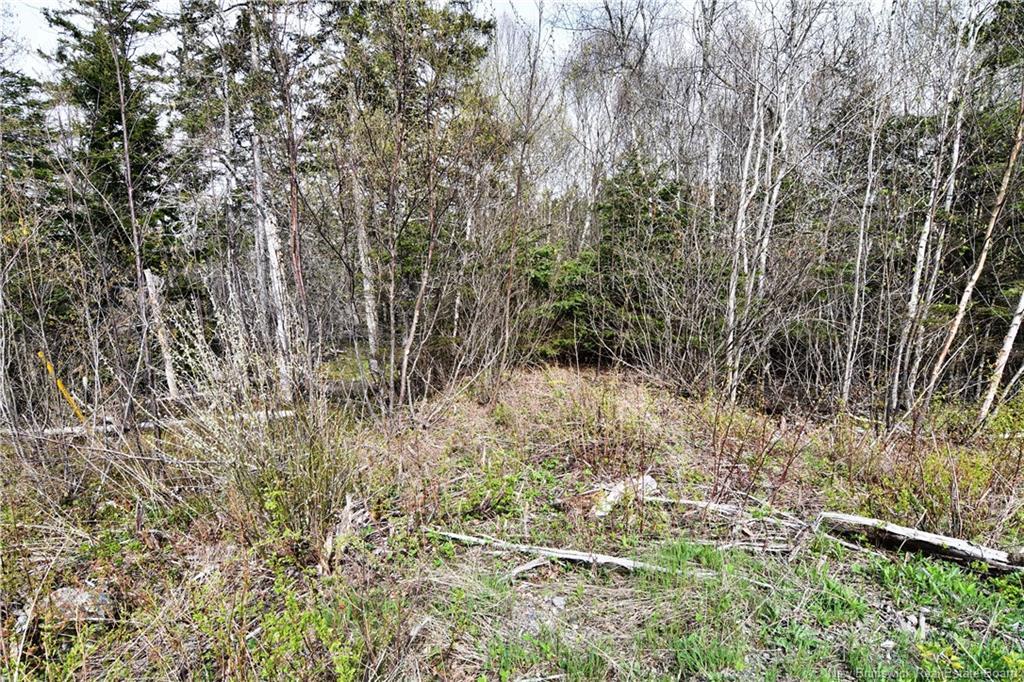 86-39 & 86-40 Mitchell Crt, Welshpool, NB