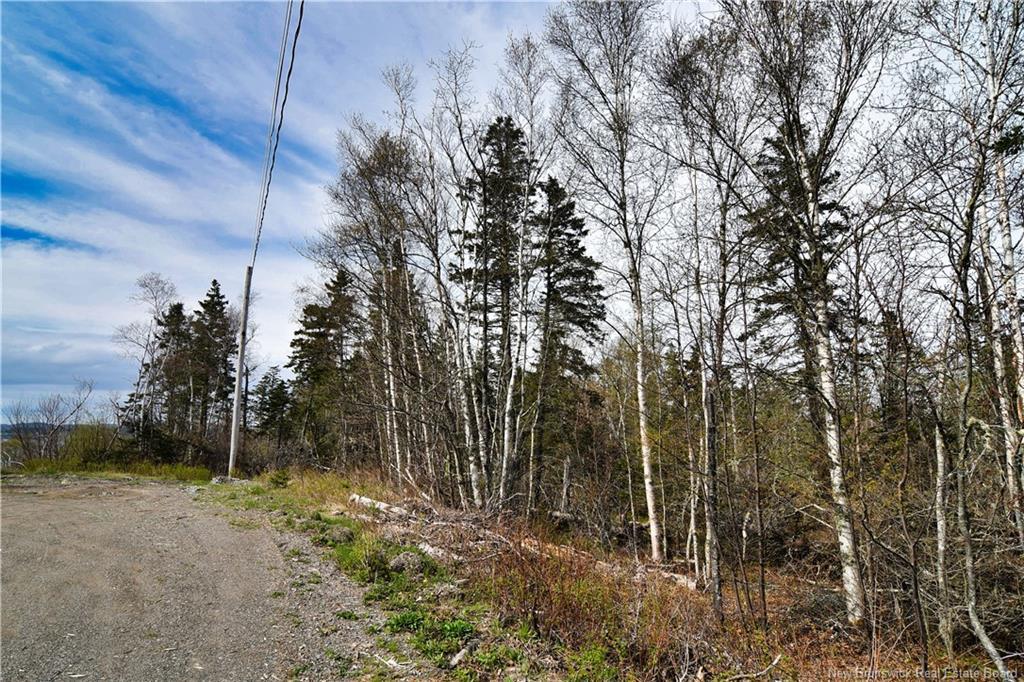 86-39 & 86-40 Mitchell Crt, Welshpool, NB