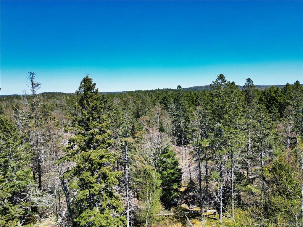 86-39 & 86-40 Mitchell Crt, Welshpool, NB