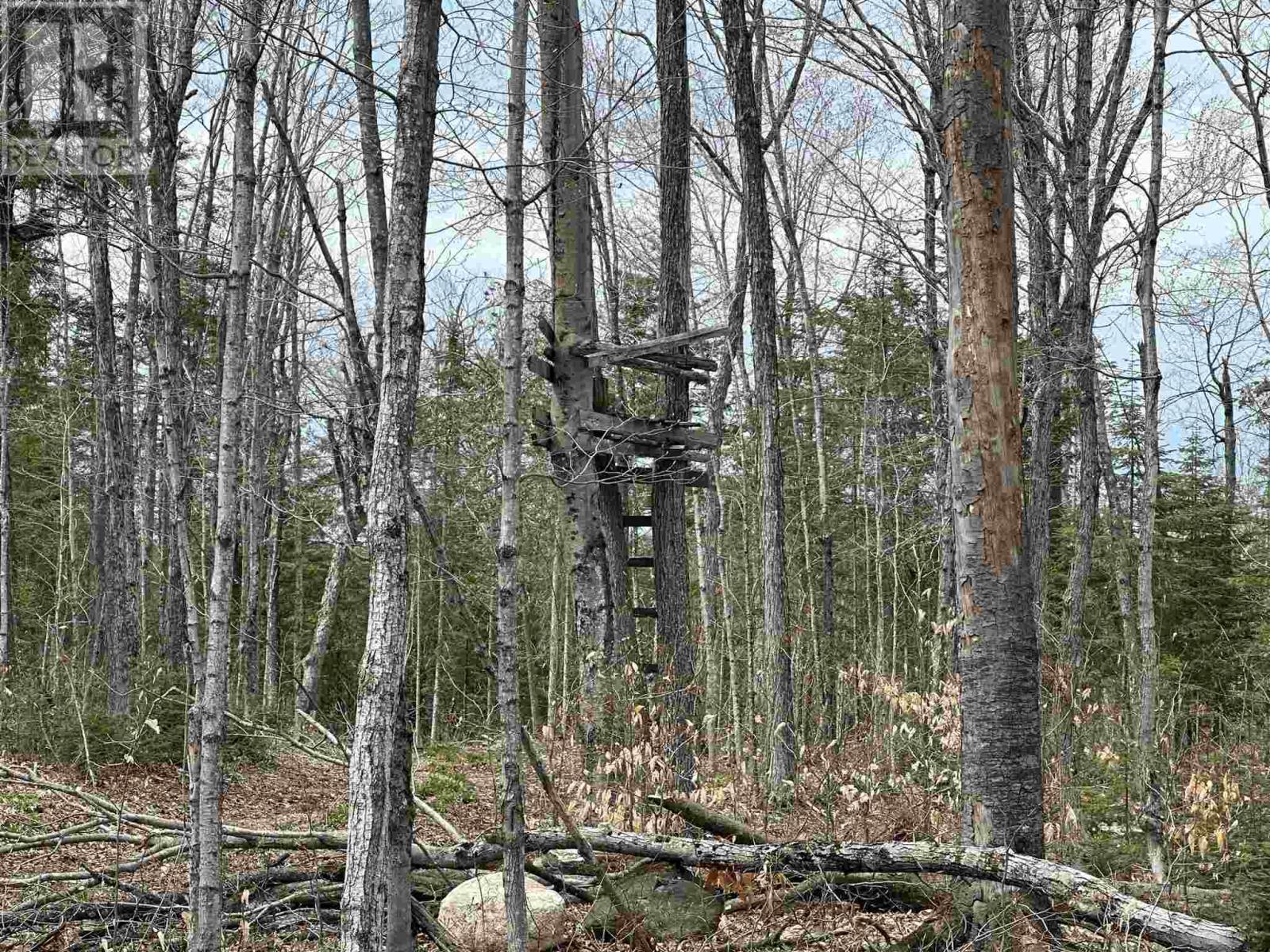 4202 5Th Side Rd, Jocelyn Township, ON