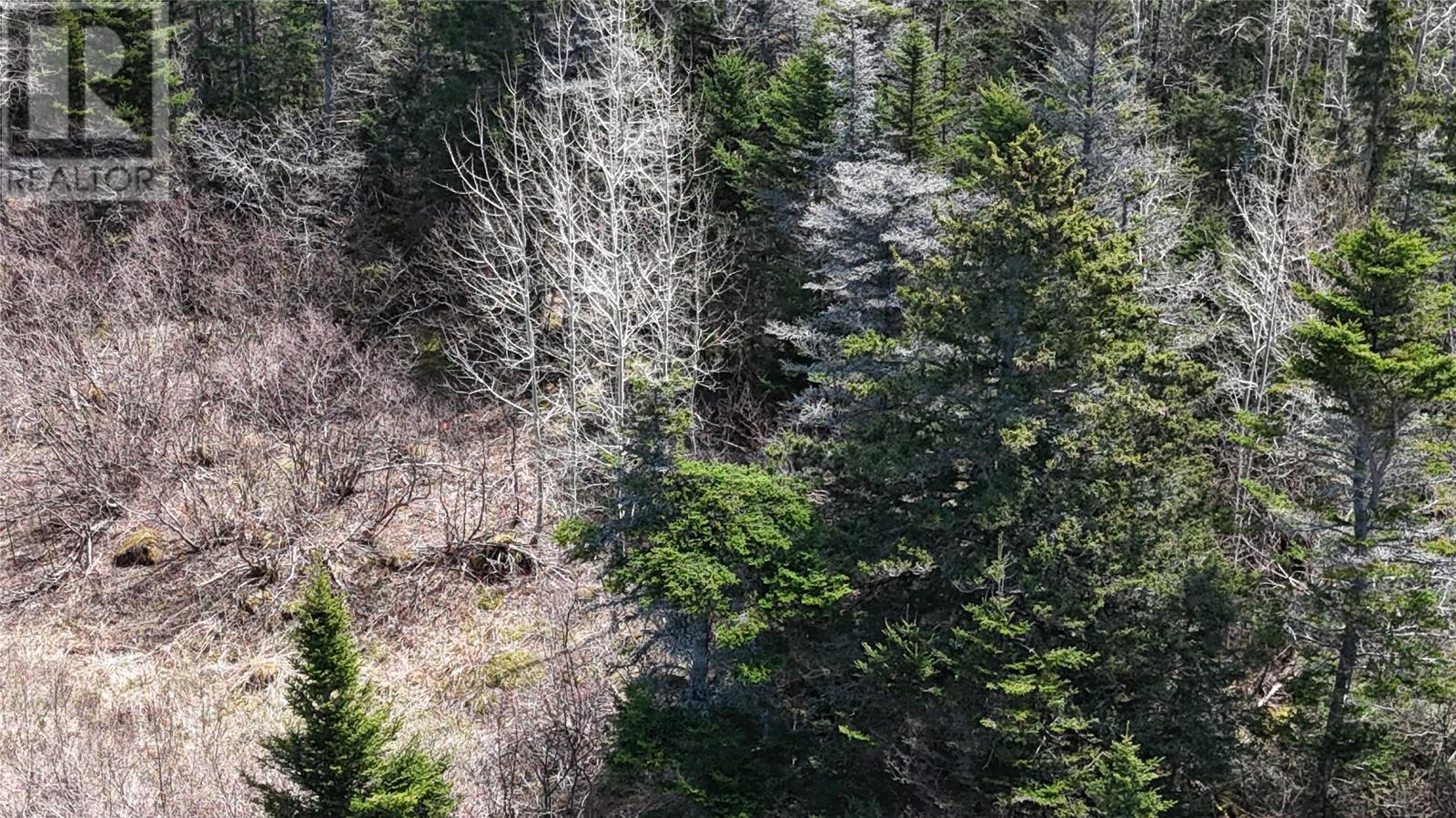 70 Road To The Isles, Lewisporte, NL