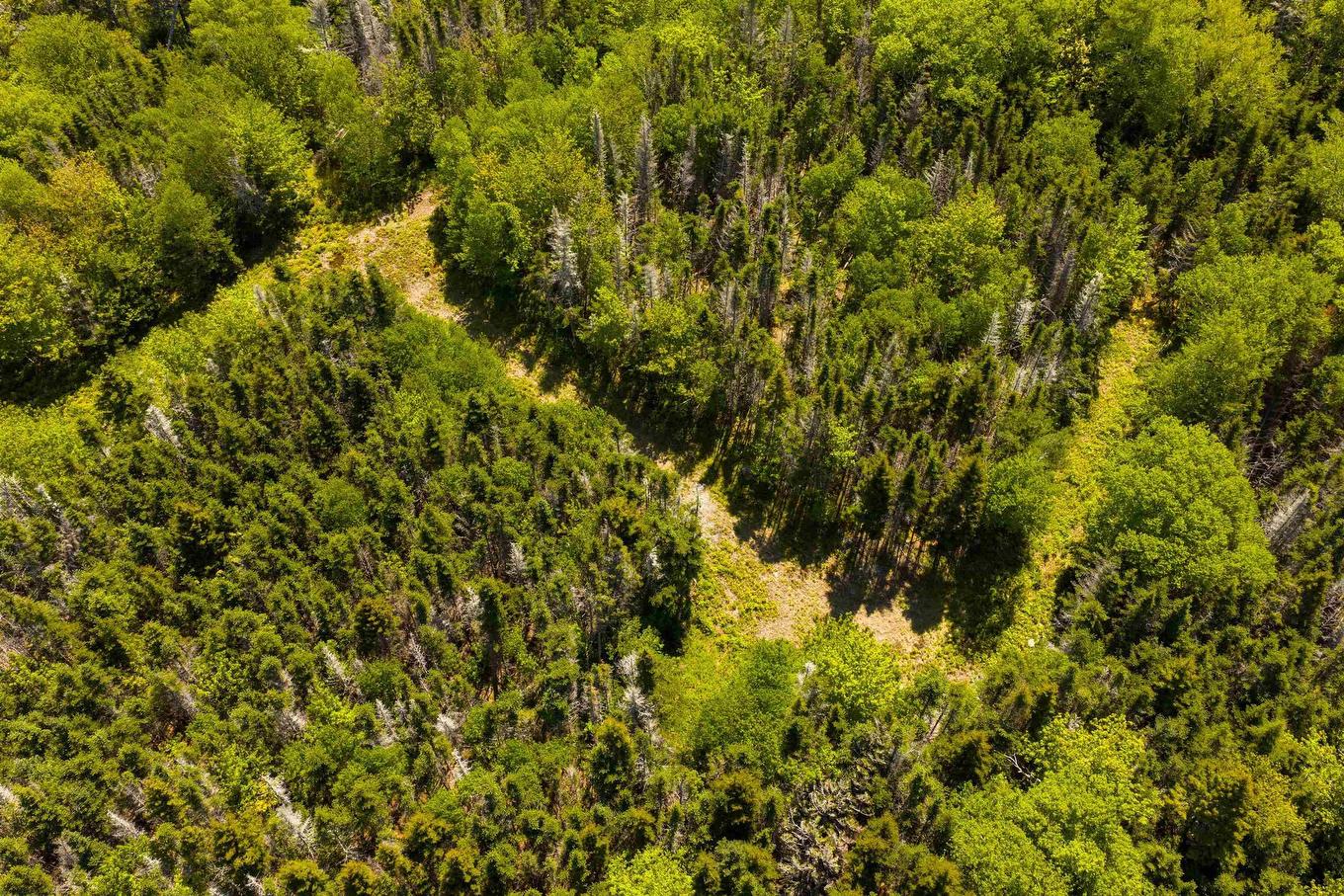 5 Lake Charlotte, Lake Charlotte, NS