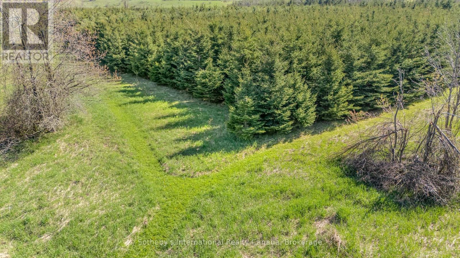 717218 1St Line E, Mulmur, ON - Outdoor With View