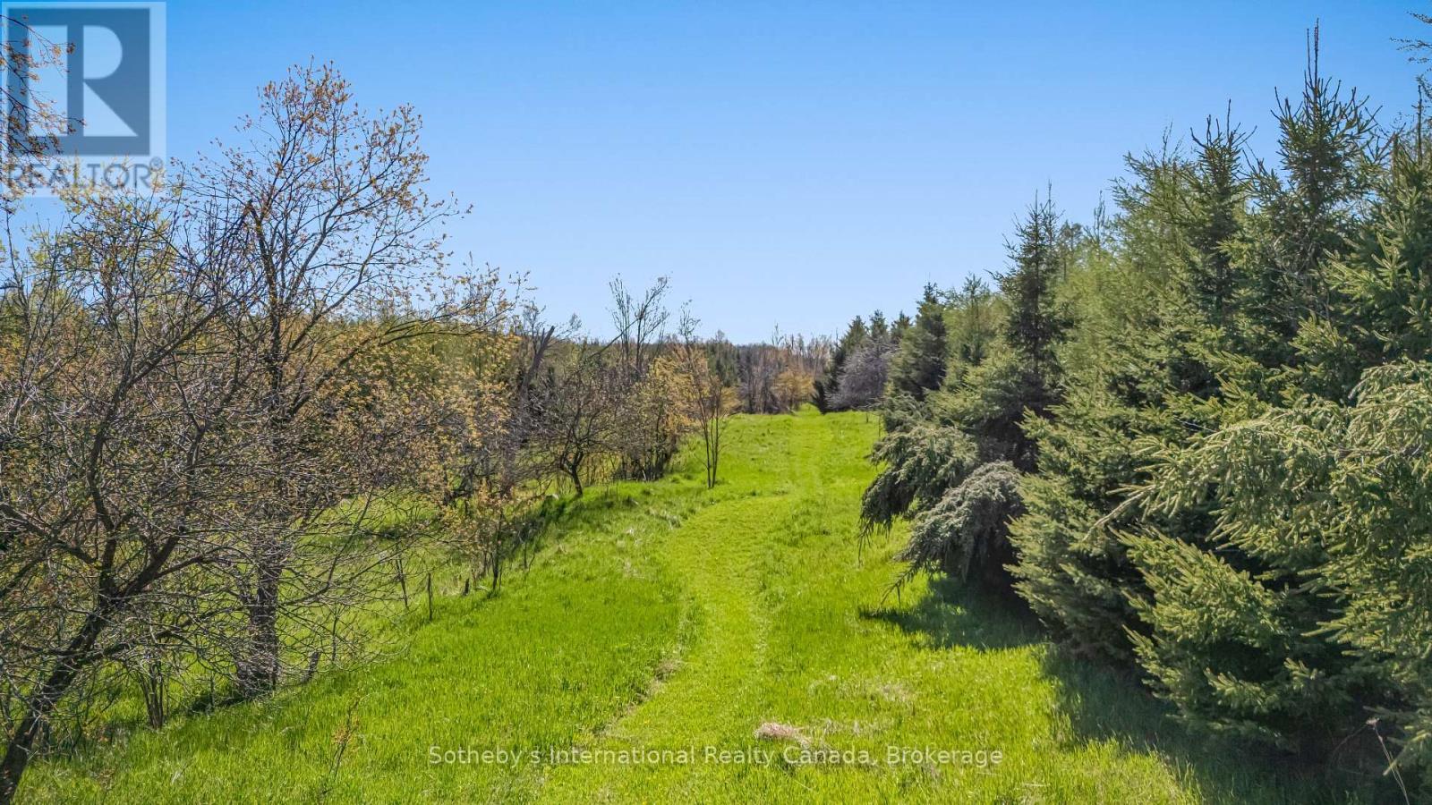 717218 1St Line E, Mulmur, ON - Outdoor With View