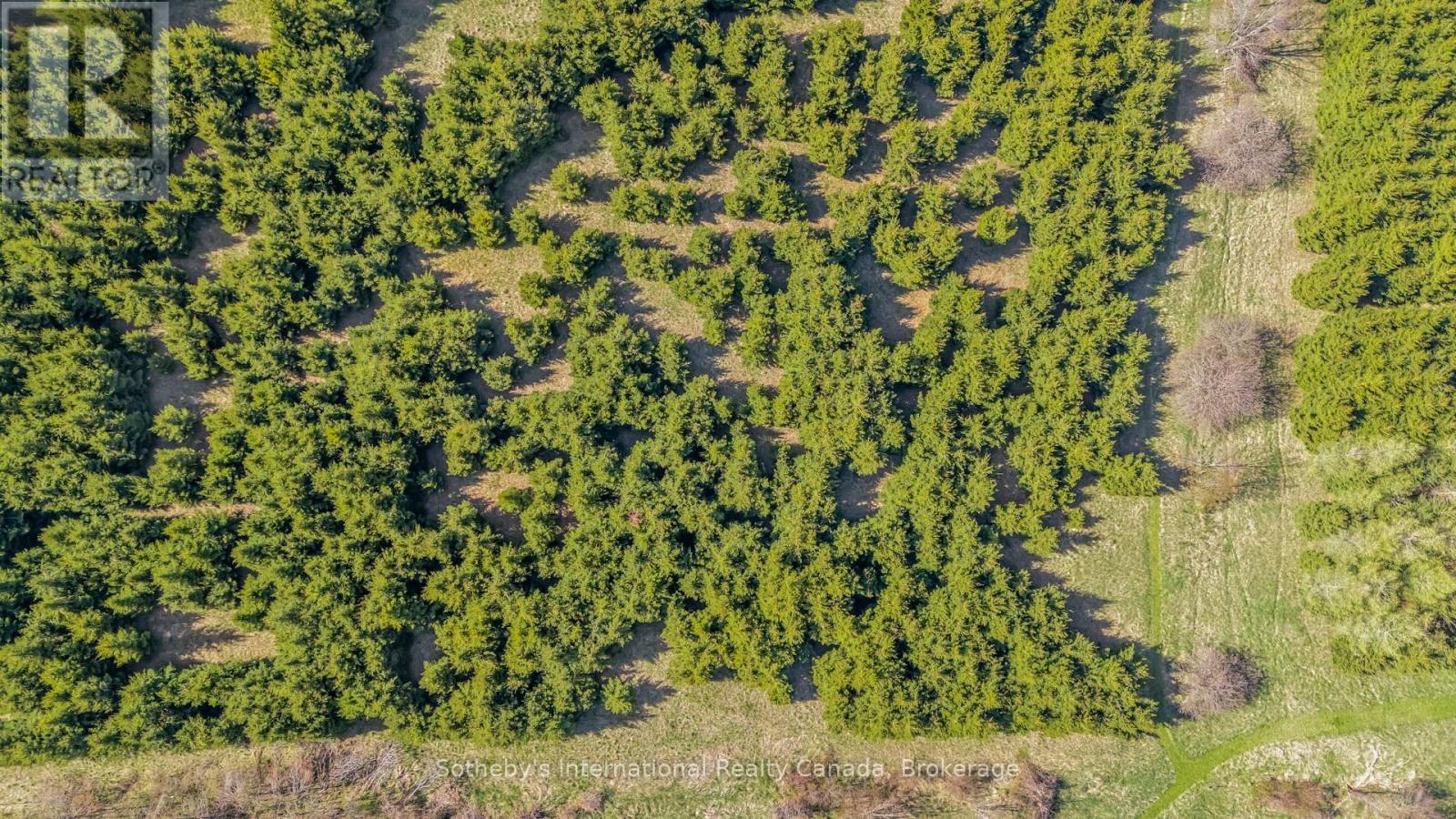 717218 1St Line E, Mulmur, ON - Outdoor With View