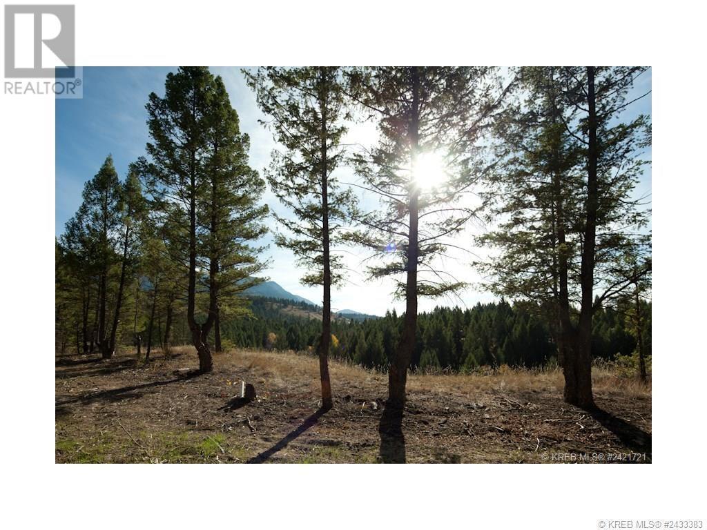 Lot 11 Saddlewood Lane, Radium Hot Springs, BC