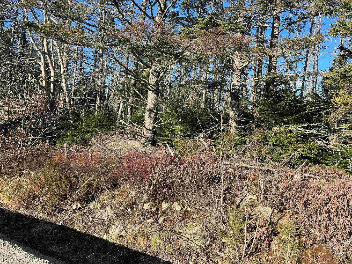 Lot Argyle Head Road, Argyle Head, NS