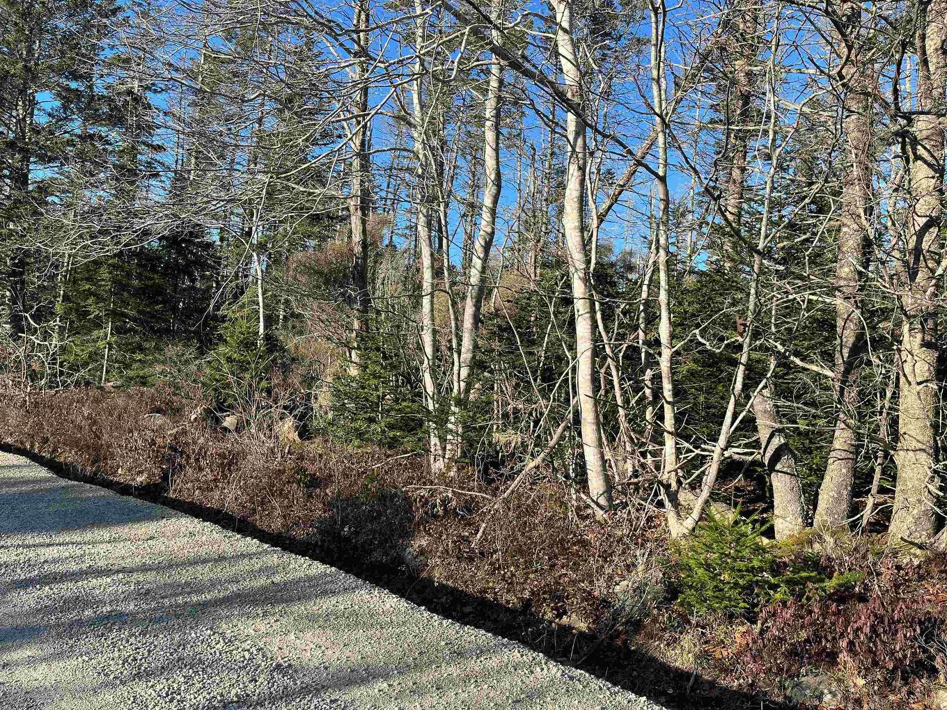 Lot Argyle Head Road, Argyle Head, NS