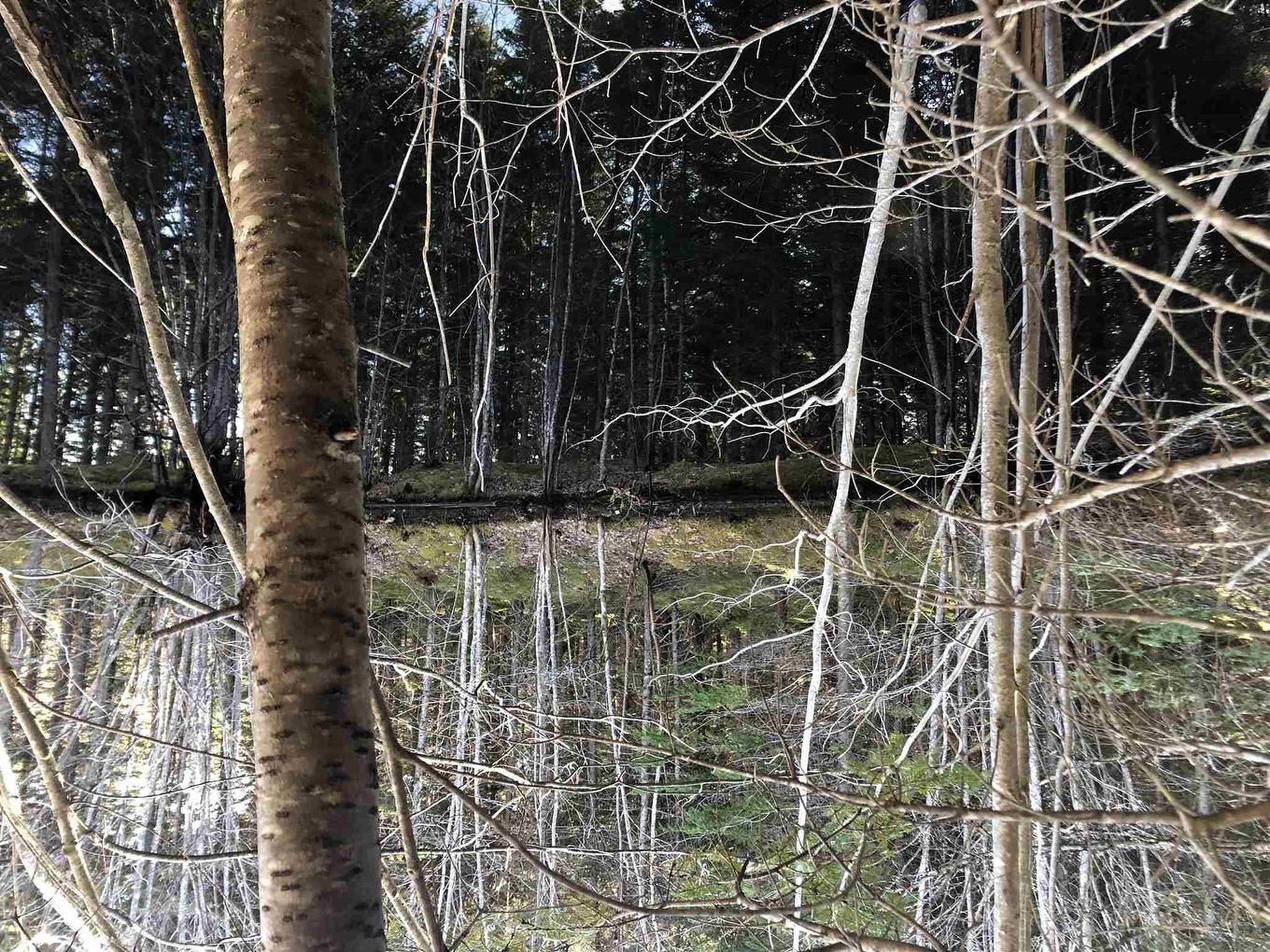 Cameron Road, Iron Mines, NS