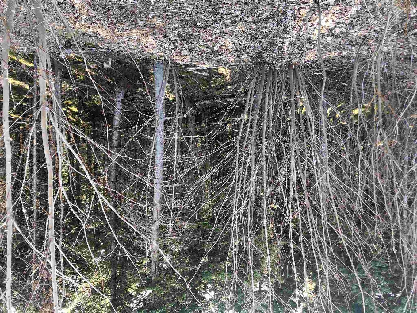 Cameron Road, Iron Mines, NS