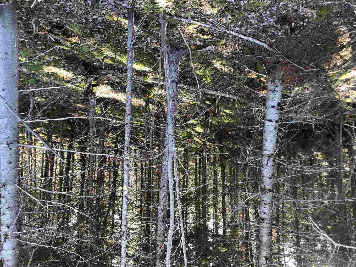 Cameron Road, Iron Mines, NS