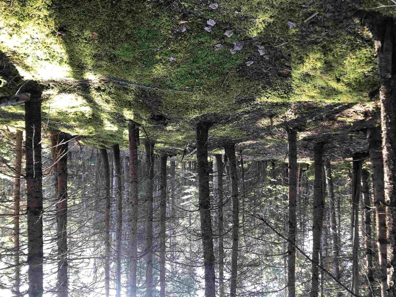 Cameron Road, Iron Mines, NS