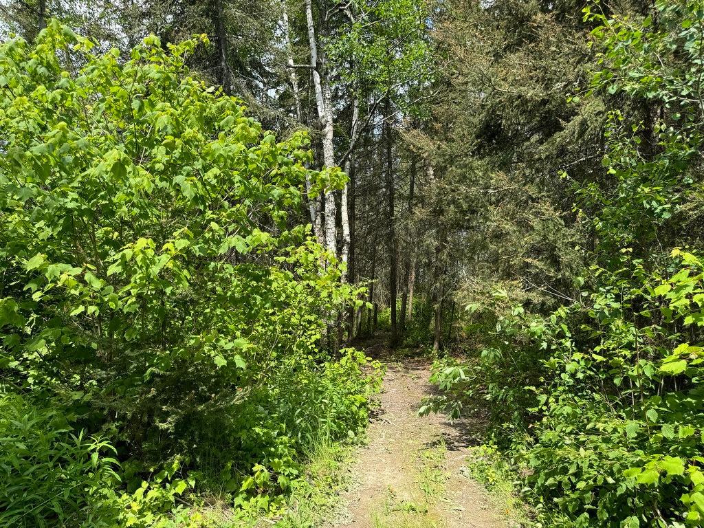 Exterior - 6 Île Lac Desvaux, Rouyn-Noranda, QC - Outdoor