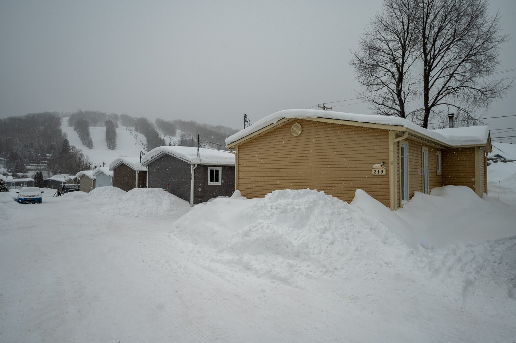Vue - 219 Ch. Des Habitations-Des-Monts, Saint-Sauveur, QC - Outdoor